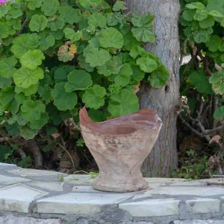 Pateo Ips Plaka Almyrida (Crete)